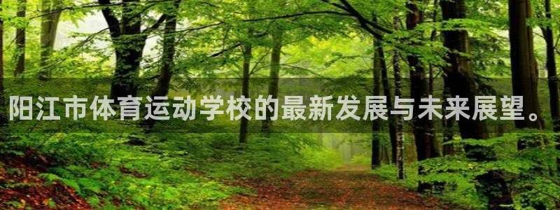 xc网络语言啥意思：阳江市体育运动学校的最新发展与未来展望。