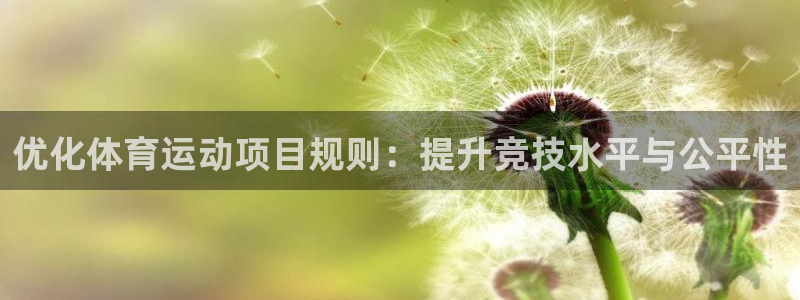 xc是什么挖机：优化体育运动项目规则：提升竞技水平与公平性