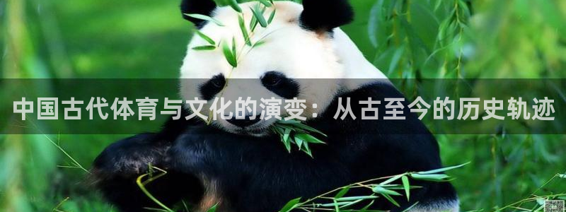 杏彩xc3平台登录注册：中国古代体育与文化的演变：从古至今的历史轨迹
