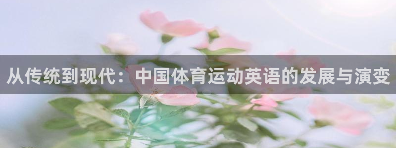杏彩xc体育热门赛事有哪些：从传统到现代：中国体育运动英语的发展与演变