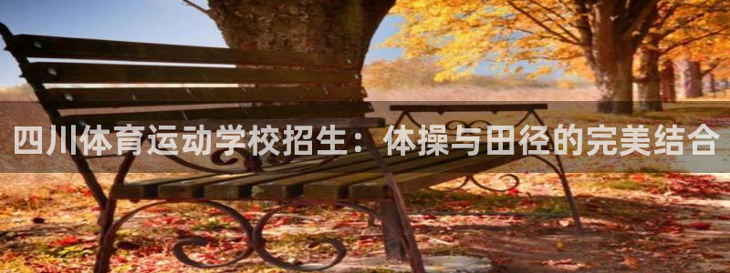 xc 60：四川体育运动学校招生：体操与田径的完美结合