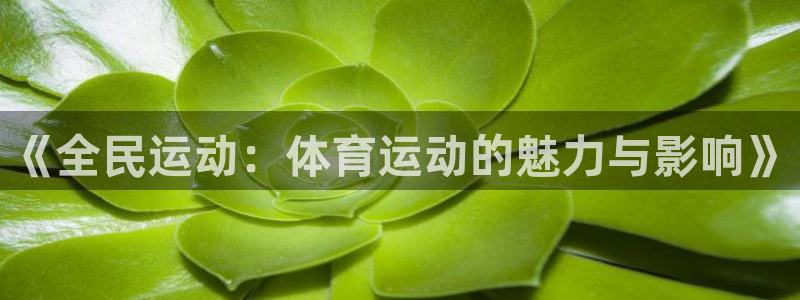 xc是什么意思的缩写：《全民运动：体育运动的魅力与影响》