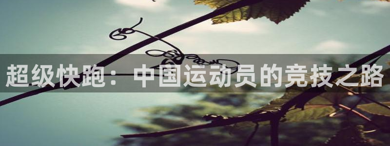 杏彩xc体育平台开号链接：超级快跑：中国运动员的竞技之路