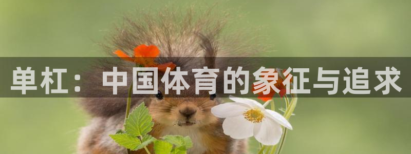 杏彩xc3代理：单杠：中国体育的象征与追求