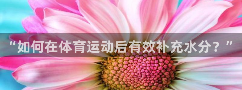 xc是哪里的车牌：“如何在体育运动后有效补充水分？”