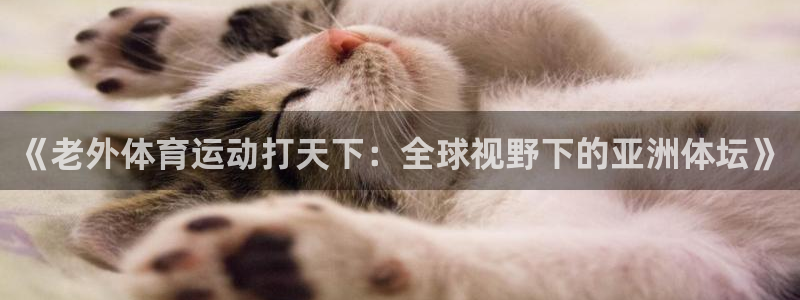 杏彩xc体育游戏：《老外体育运动打天下：全球视野下的亚洲体坛》