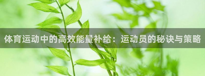 10年xc60：体育运动中的高效能量补给：运动员的秘诀与策略
