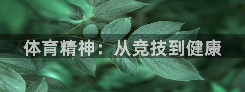 女性xc代表什么部位：体育精神：从竞技到健康
