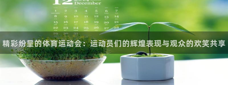 沃尔沃 xc 90：精彩纷呈的体育运动会：运动员们的辉煌表现与观众的欢笑共享