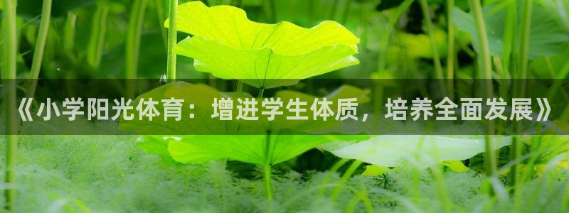 xc60 全新：《小学阳光体育：增进学生体质，培养全面发展》