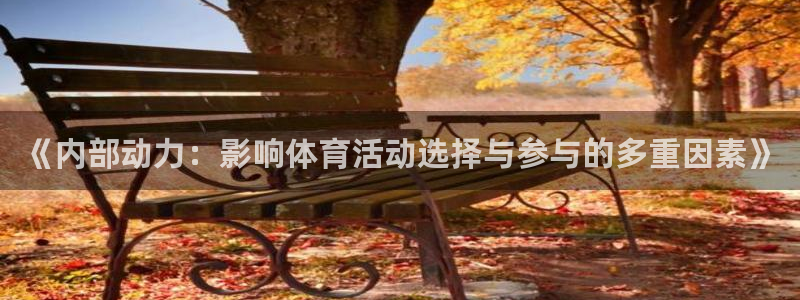 80xc：《内部动力：影响体育活动选择与参与的多重因素》