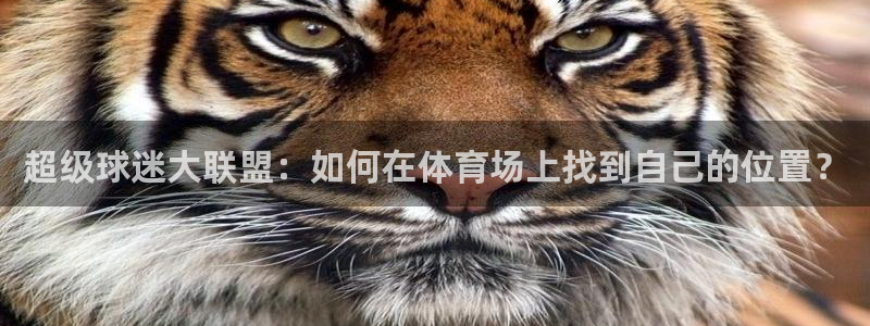 杏彩xc招商：超级球迷大联盟：如何在体育场上找到自己的位置？