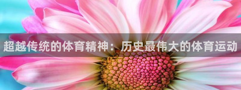 杏彩xc零能源集团：超越传统的体育精神：历史最伟大的体育运动