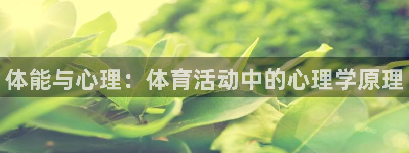 杏彩xc体育在线注册：体能与心理：体育活动中的心理学原理