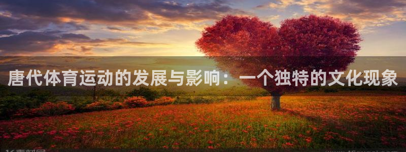 xc60全款：唐代体育运动的发展与影响：一个独特的文化现象