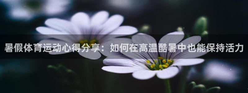 xc722722：暑假体育运动心得分享：如何在高温酷暑中也能保持活力