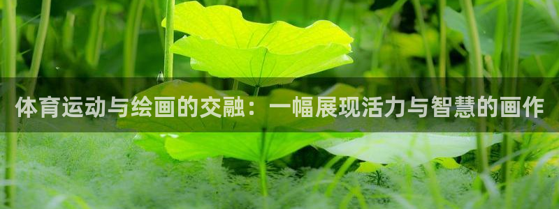 ns150xc参数：体育运动与绘画的交融：一幅展现活力与智慧的画作