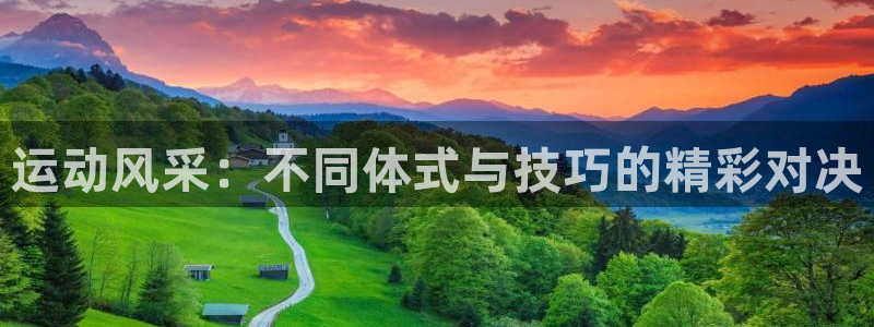 杏彩xc：运动风采：不同体式与技巧的精彩对决