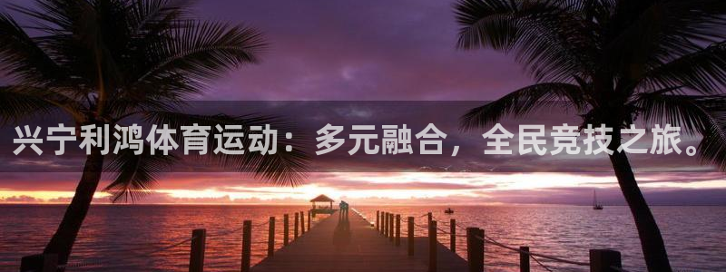xc60全款：兴宁利鸿体育运动：多元融合，全民竞技之旅。