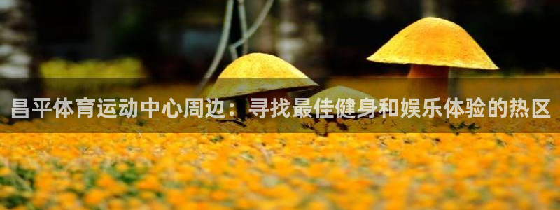 福建杏彩xc机电股份公司：昌平体育运动中心周边：寻找最佳健身和娱乐体验的热区